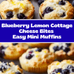 Blueberry and Lemon Zest Cottage Cheese Bites Recipe